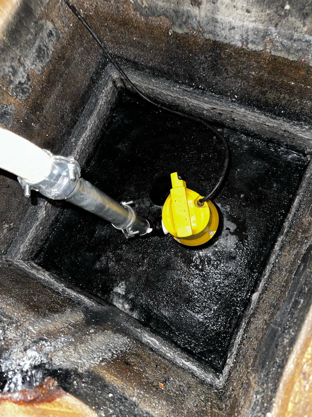 WhatsApp Image 2024-02-09 at 16.57.52