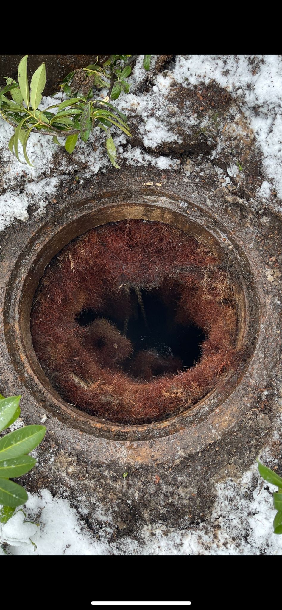 WhatsApp Image 2024-02-25 at 16.32.54