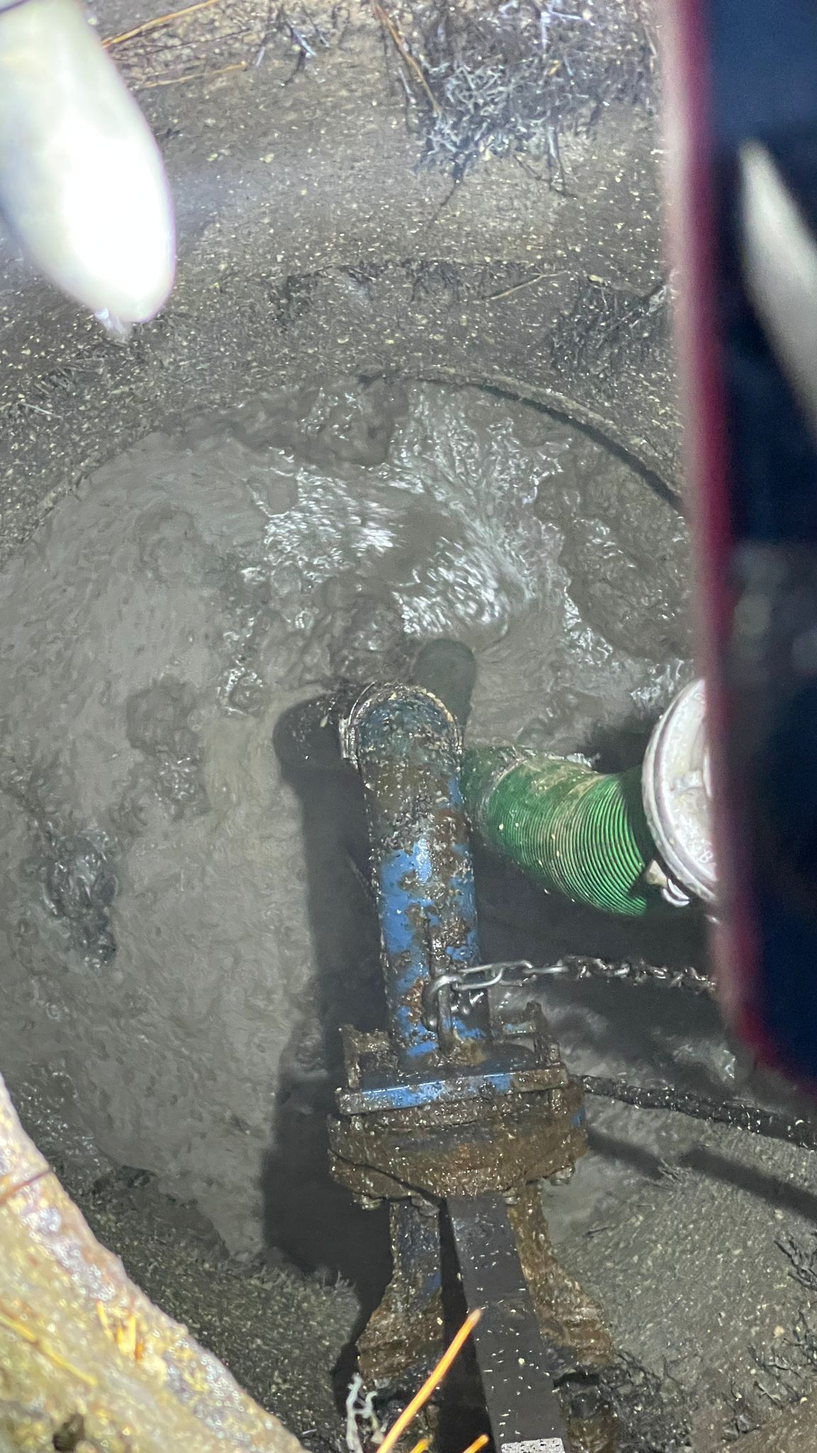 WhatsApp Image 2024-02-25 at 16.32.56