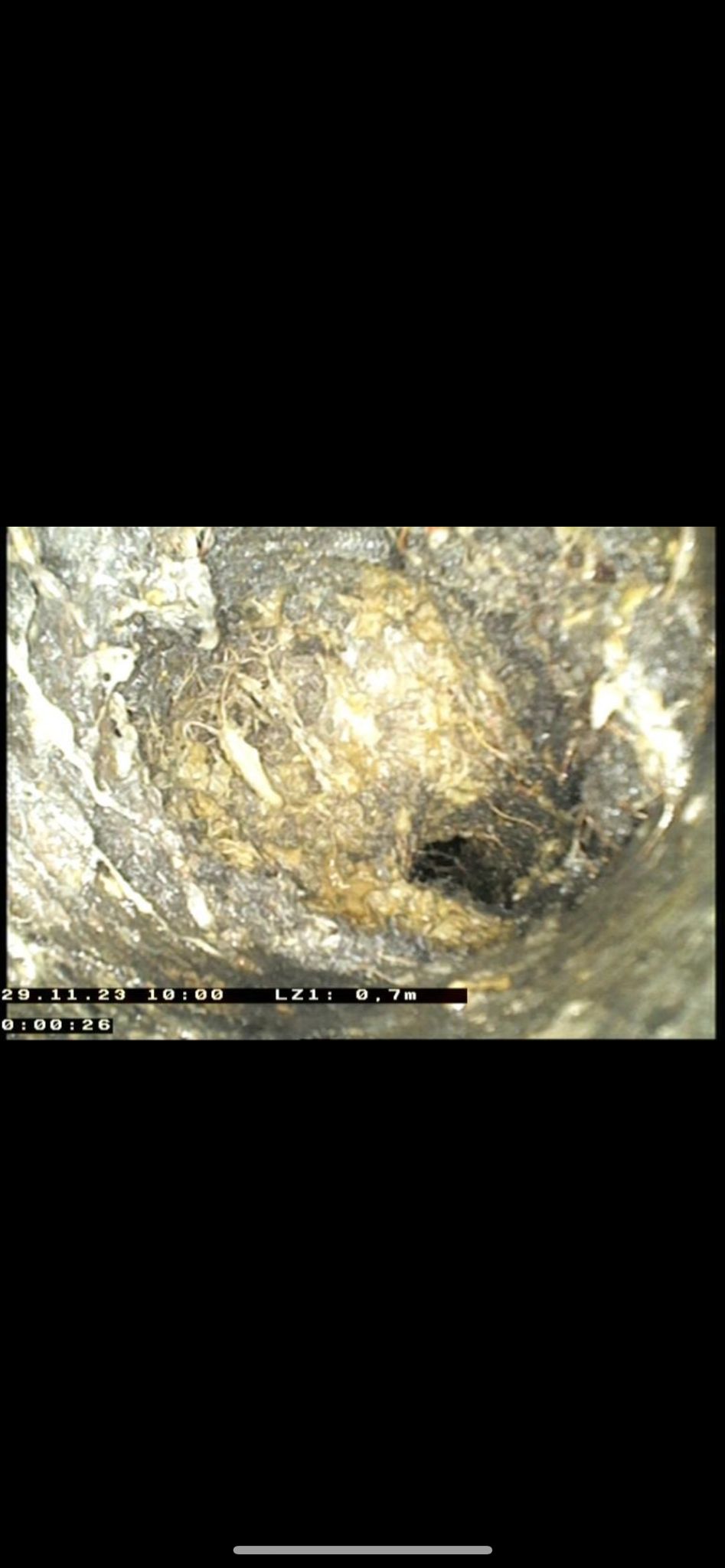 WhatsApp Image 2024-02-25 at 17.16.05 (1)