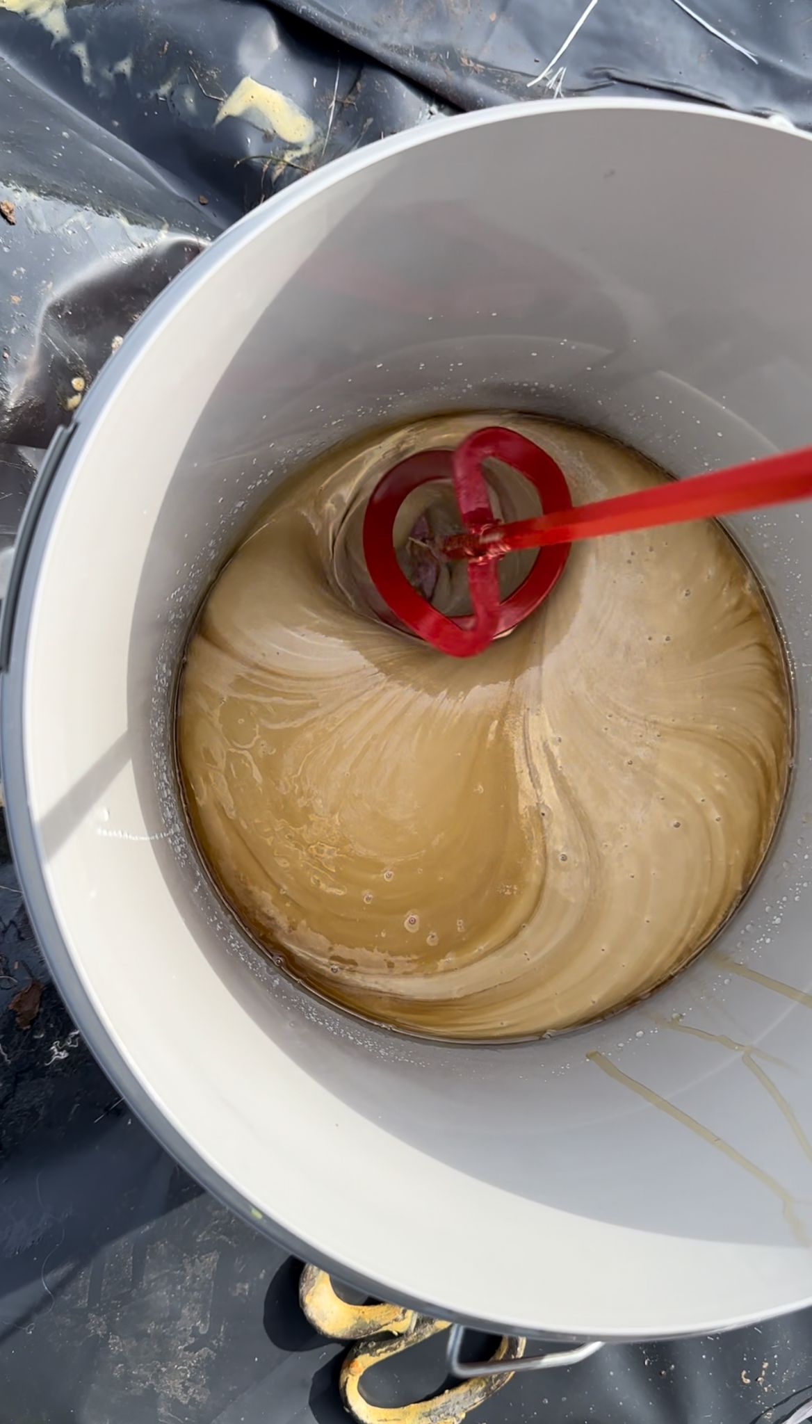 WhatsApp Image 2024-02-25 at 17.16.07