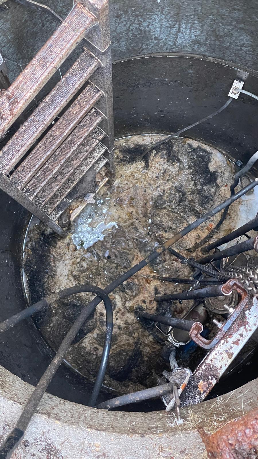 WhatsApp Image 2024-04-19 at 14.07.35 (1)